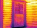 FLIR Ex Thermal Camera